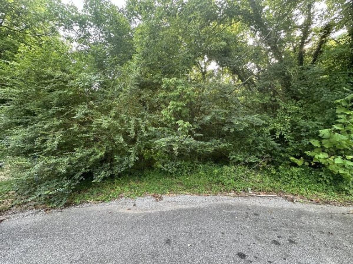 Picture of Residential Land For Sale in Clarksville, Tennessee, United States