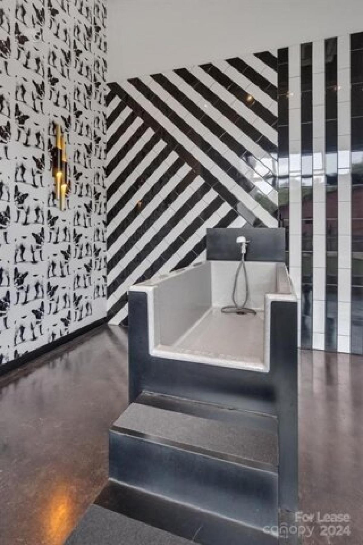 Picture of Apartment For Rent in Charlotte, North Carolina, United States