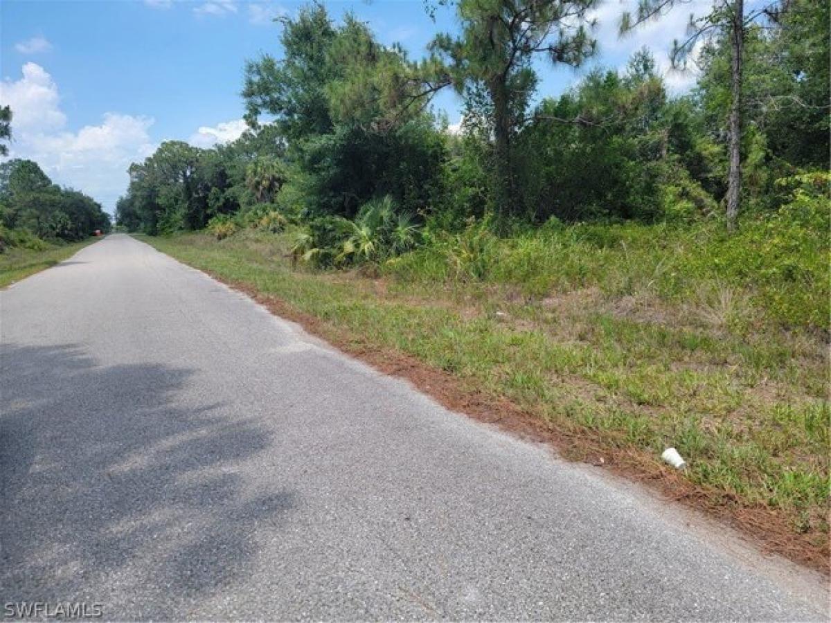 Picture of Residential Land For Sale in Lehigh Acres, Florida, United States