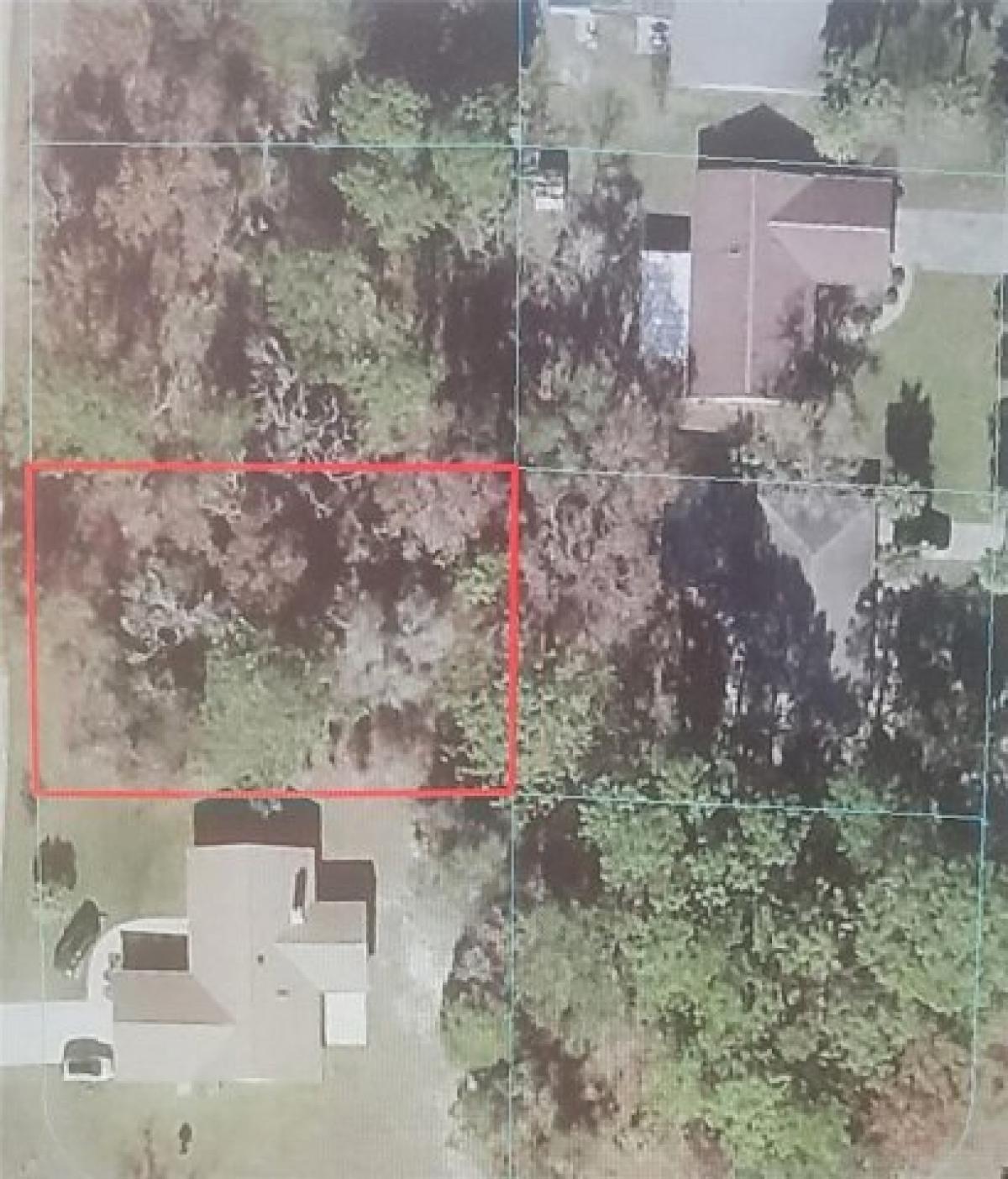 Picture of Residential Land For Sale in Ocala, Florida, United States