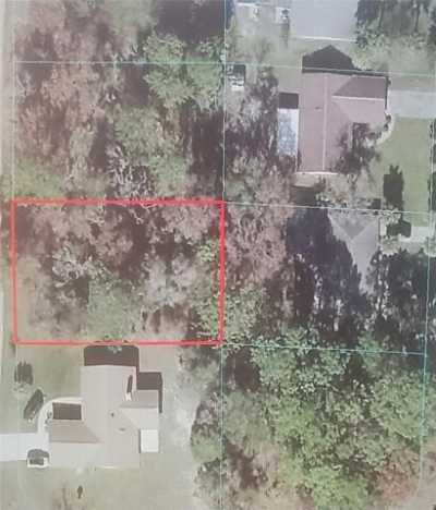 Residential Land For Sale in Ocala, Florida