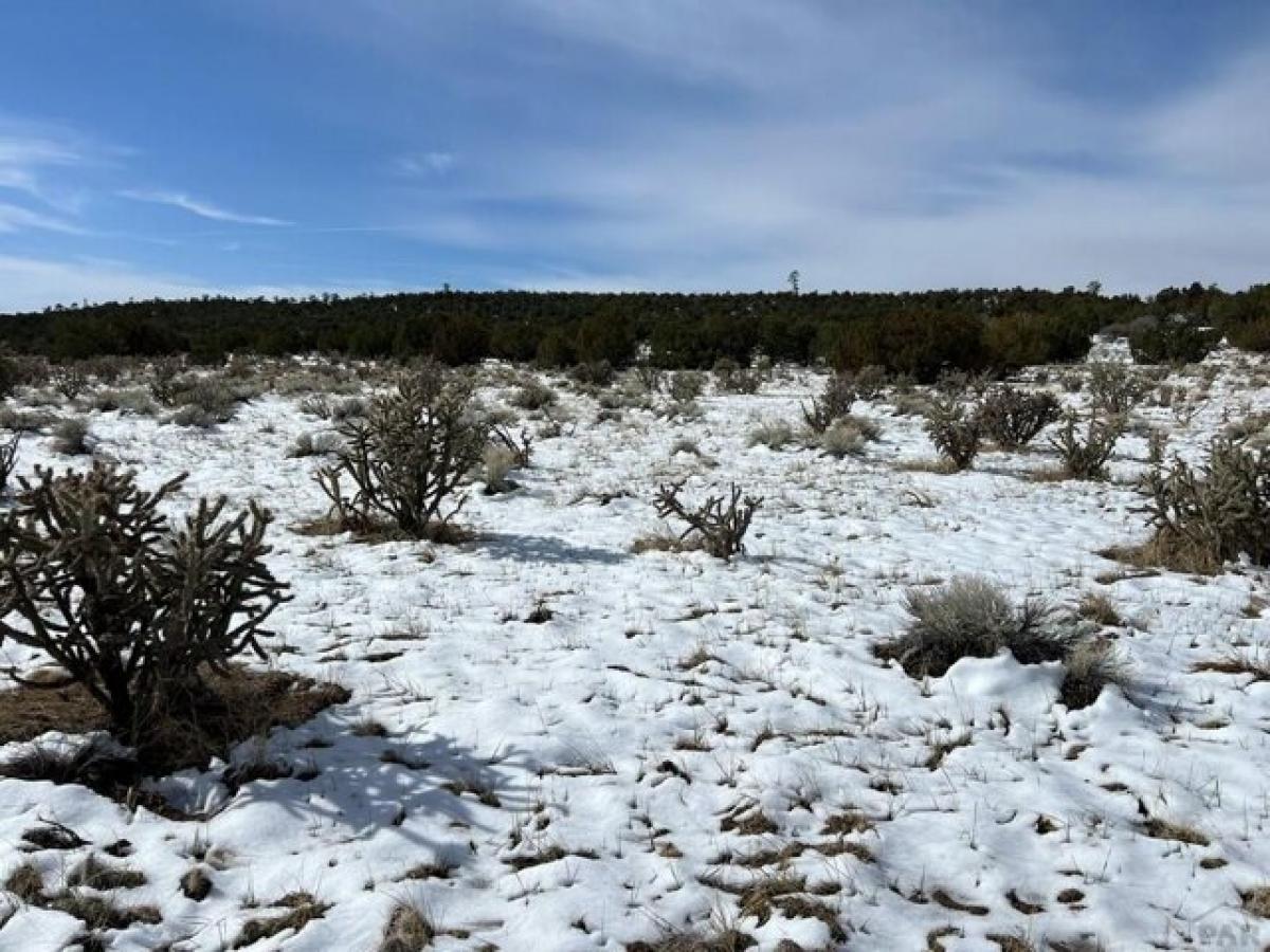 Picture of Residential Land For Sale in Walsenburg, Colorado, United States