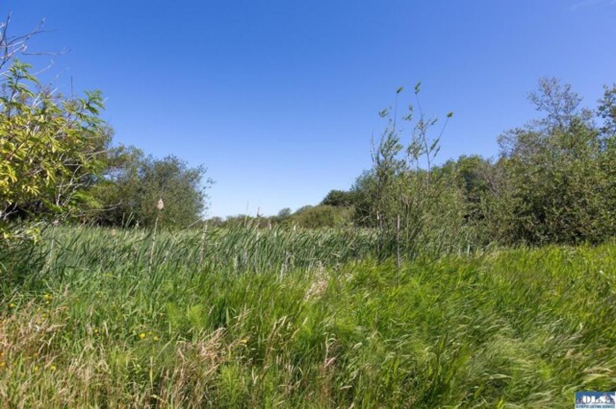 Picture of Residential Land For Sale in Sequim, Washington, United States