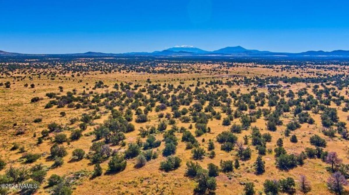 Picture of Residential Land For Sale in Williams, Arizona, United States