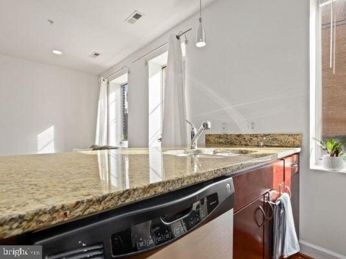 Picture of Apartment For Rent in Washington, District of Columbia, United States
