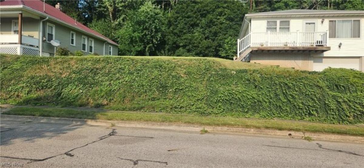 Picture of Residential Land For Rent in Akron, Ohio, United States