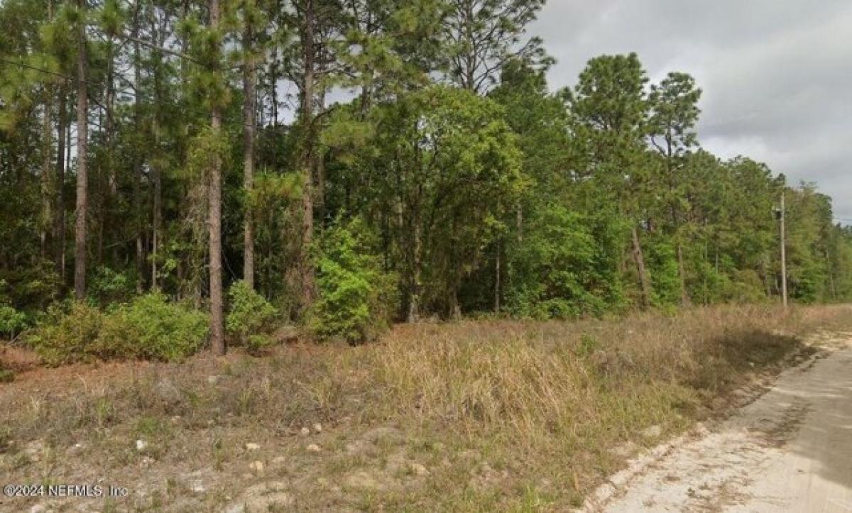 Picture of Residential Land For Rent in Satsuma, Florida, United States