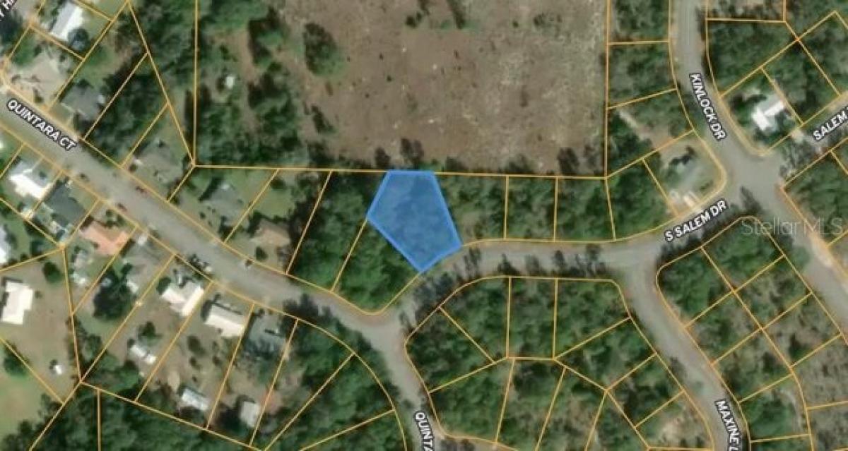 Picture of Residential Land For Sale in Chipley, Florida, United States