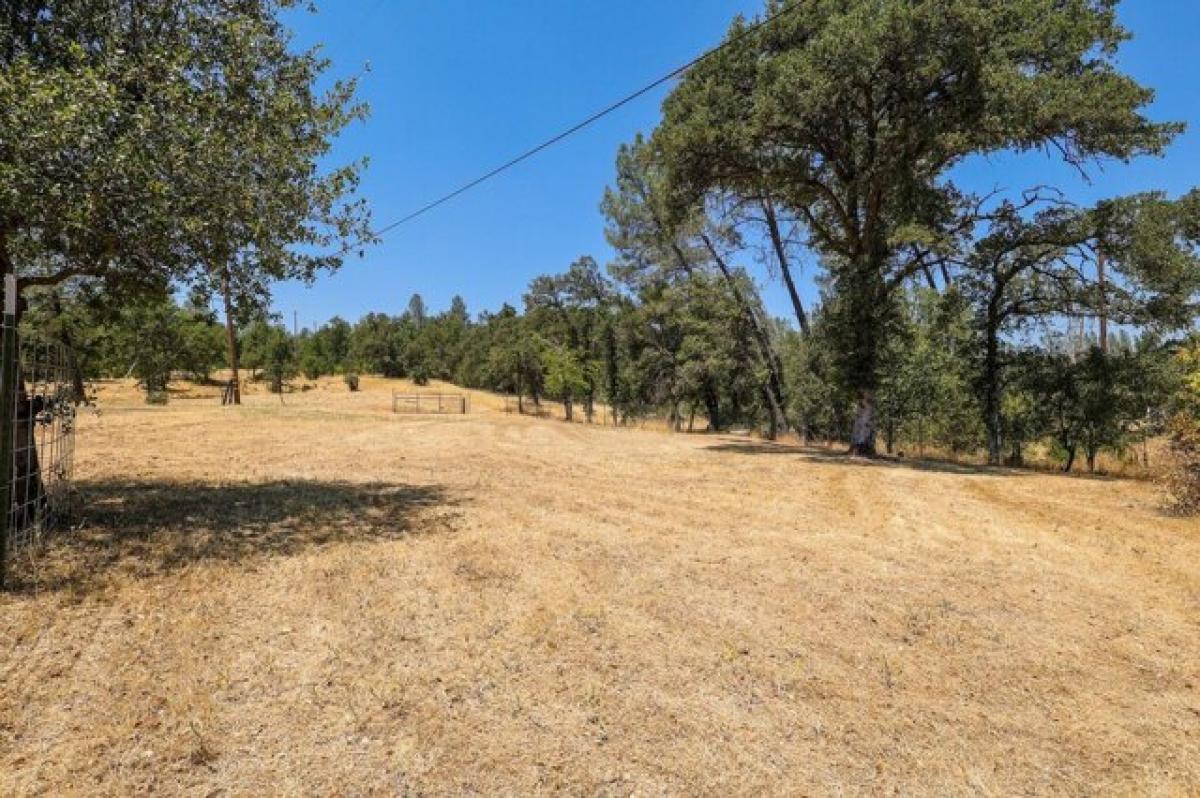 Picture of Home For Sale in Redding, California, United States