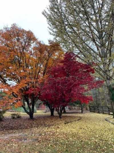 Home For Sale in Hampton, Georgia