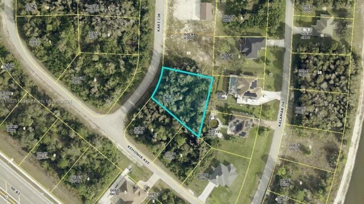 Picture of Residential Land For Sale in Lehigh Acres, Florida, United States