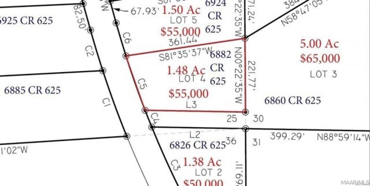 Picture of Residential Land For Sale in New Brockton, Alabama, United States