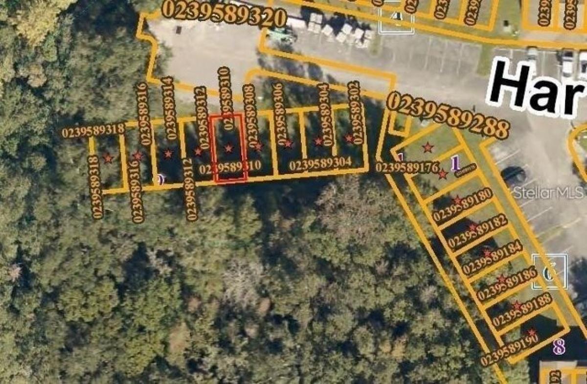Picture of Residential Land For Sale in Tampa, Florida, United States