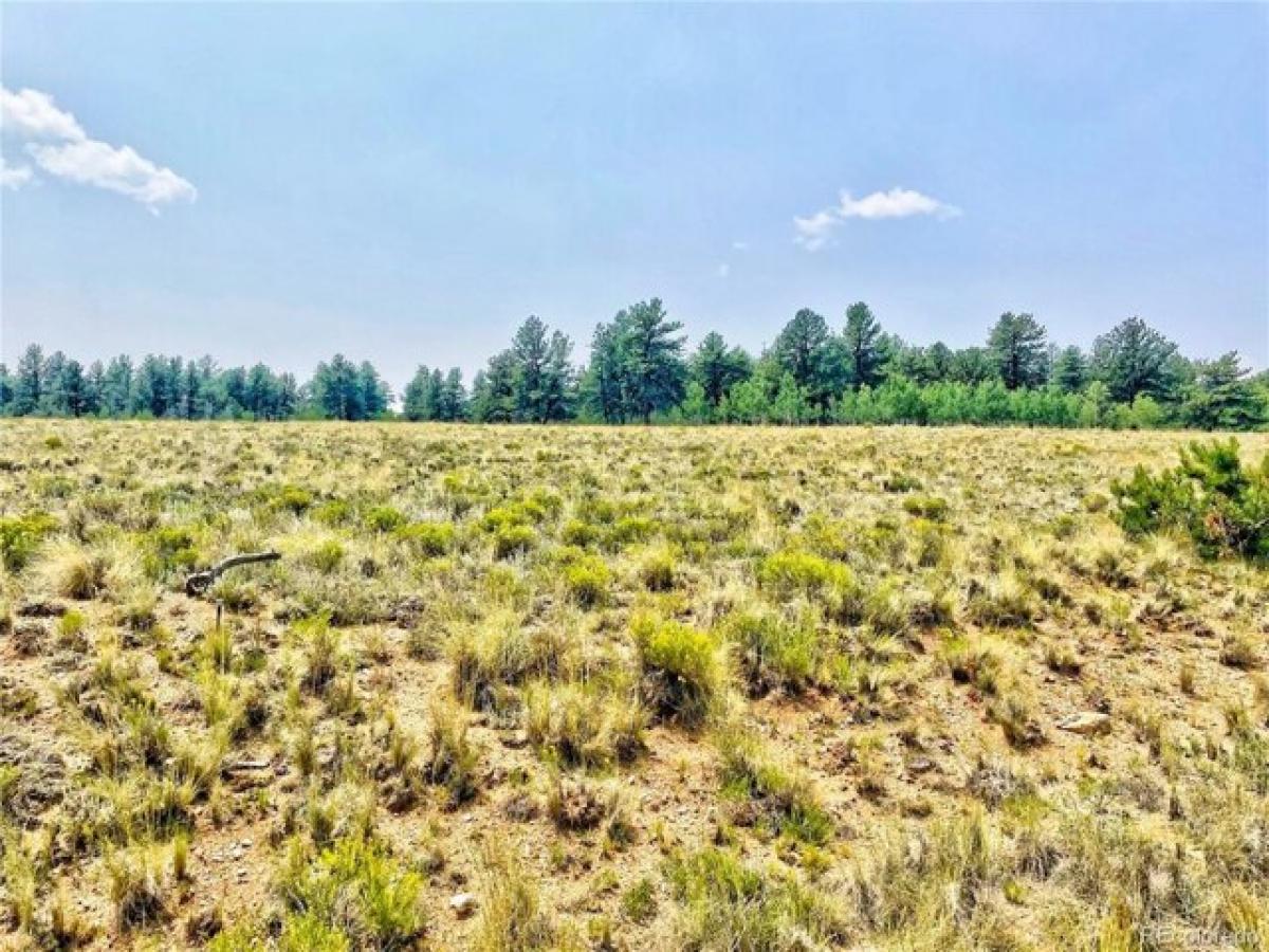 Picture of Residential Land For Sale in Hartsel, Colorado, United States