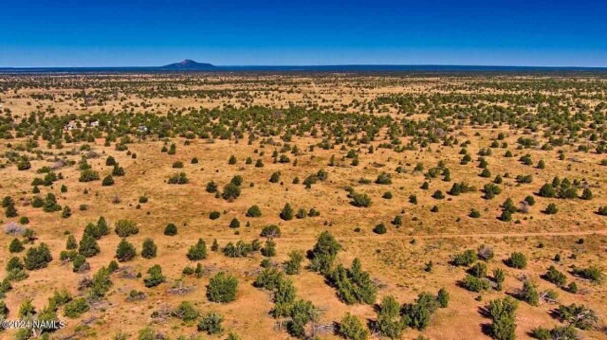 Picture of Residential Land For Sale in Williams, Arizona, United States