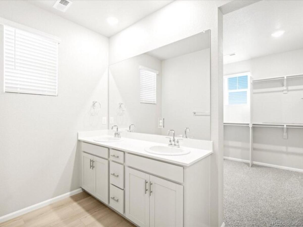 Picture of Home For Sale in Windsor, Colorado, United States