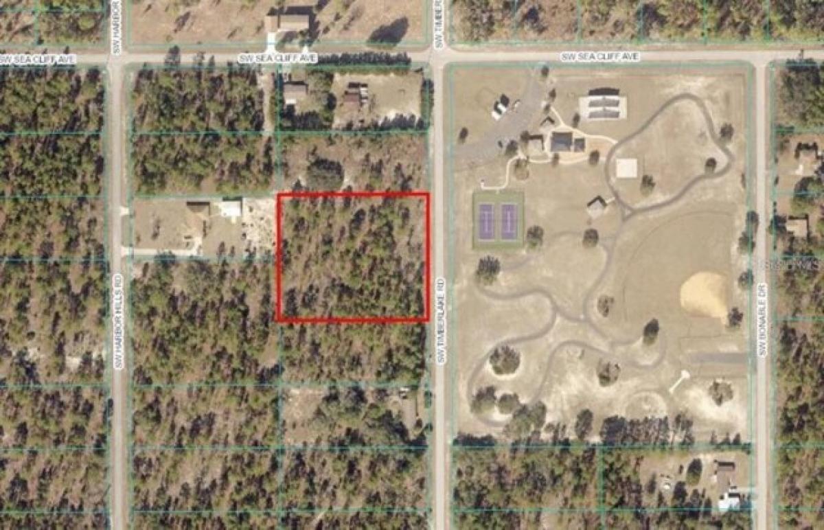 Picture of Residential Land For Sale in Dunnellon, Florida, United States