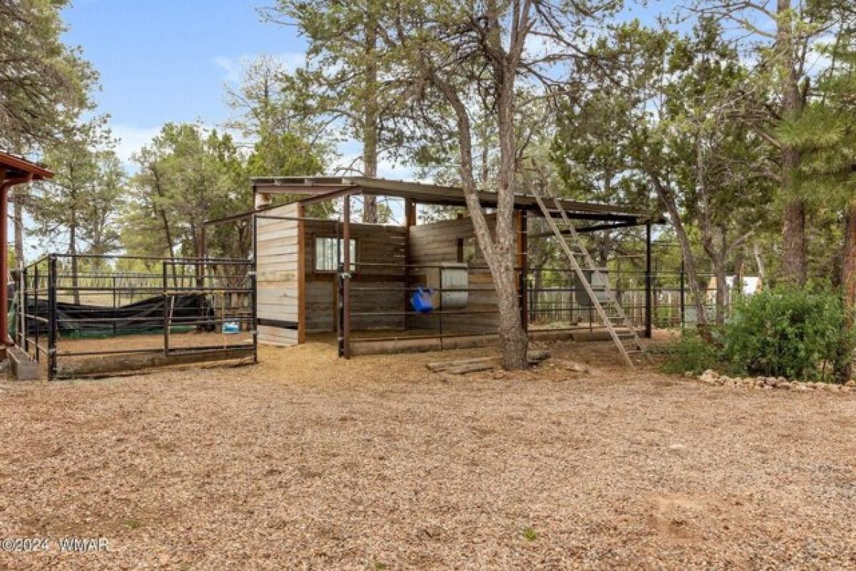 Picture of Home For Sale in Overgaard, Arizona, United States
