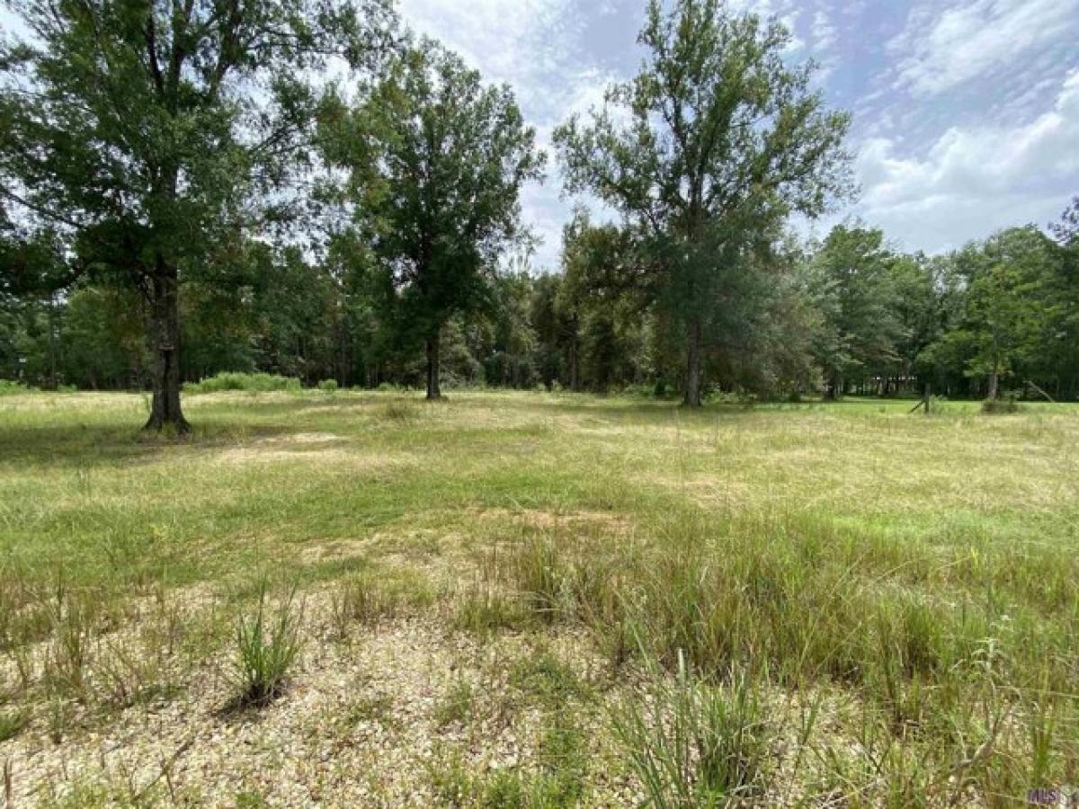 Picture of Residential Land For Sale in Holden, Louisiana, United States