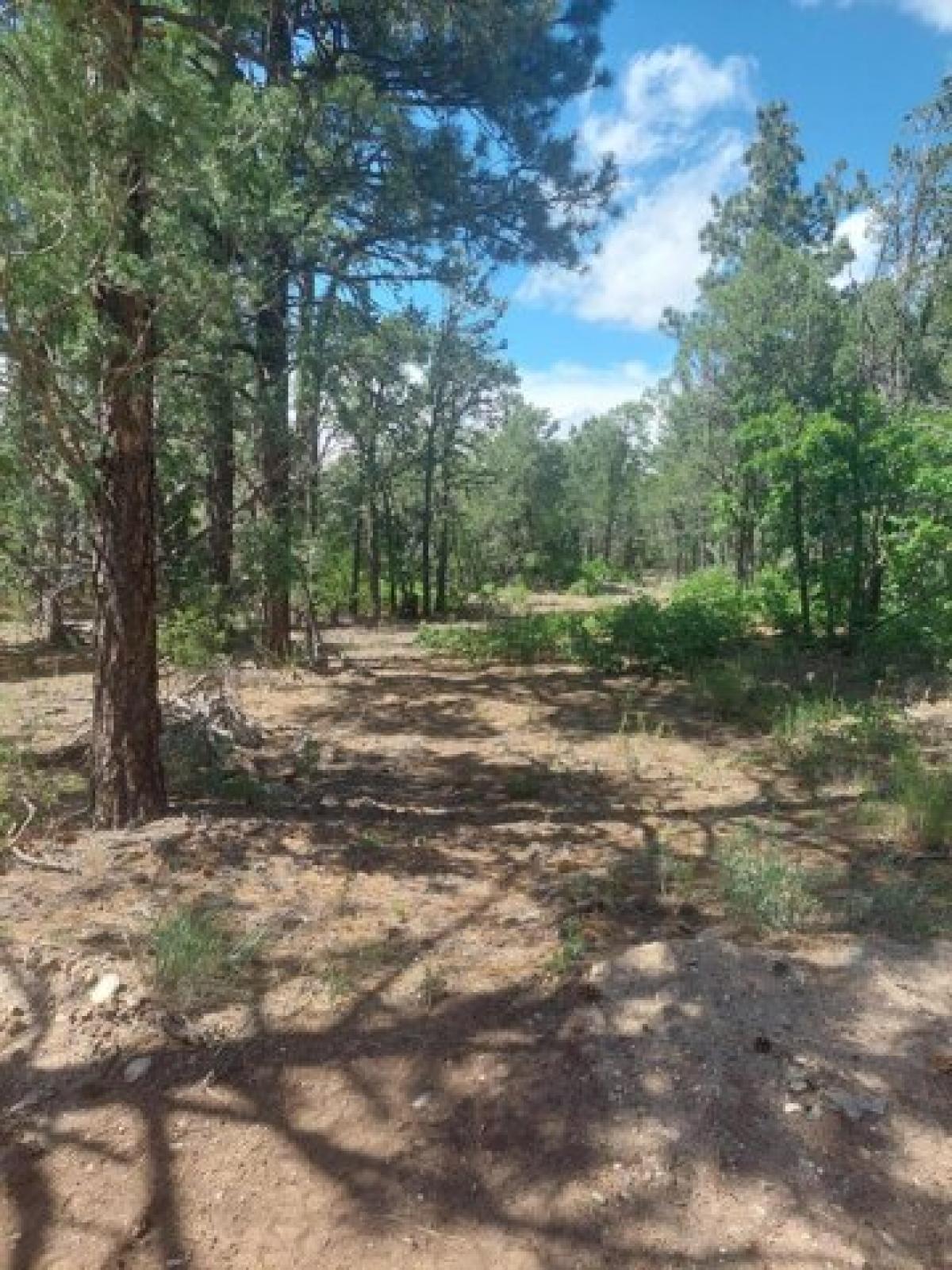 Picture of Residential Land For Sale in Tijeras, New Mexico, United States