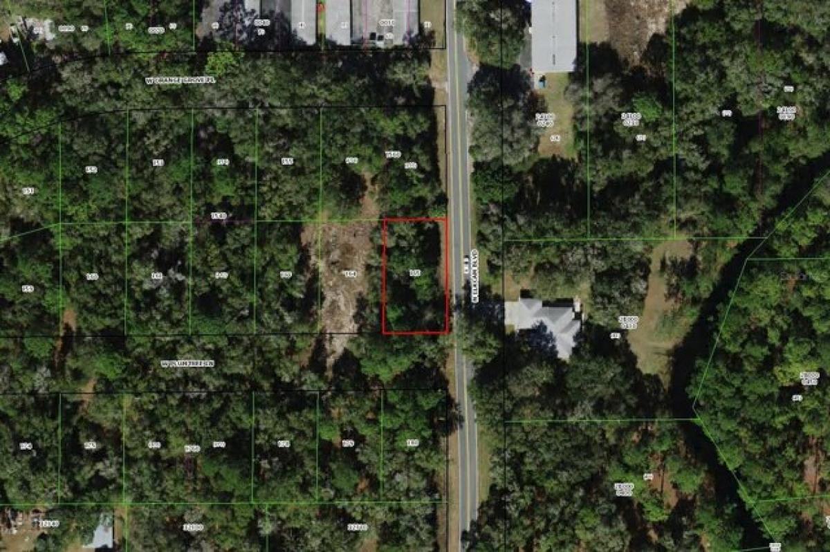 Picture of Residential Land For Sale in Dunnellon, Florida, United States