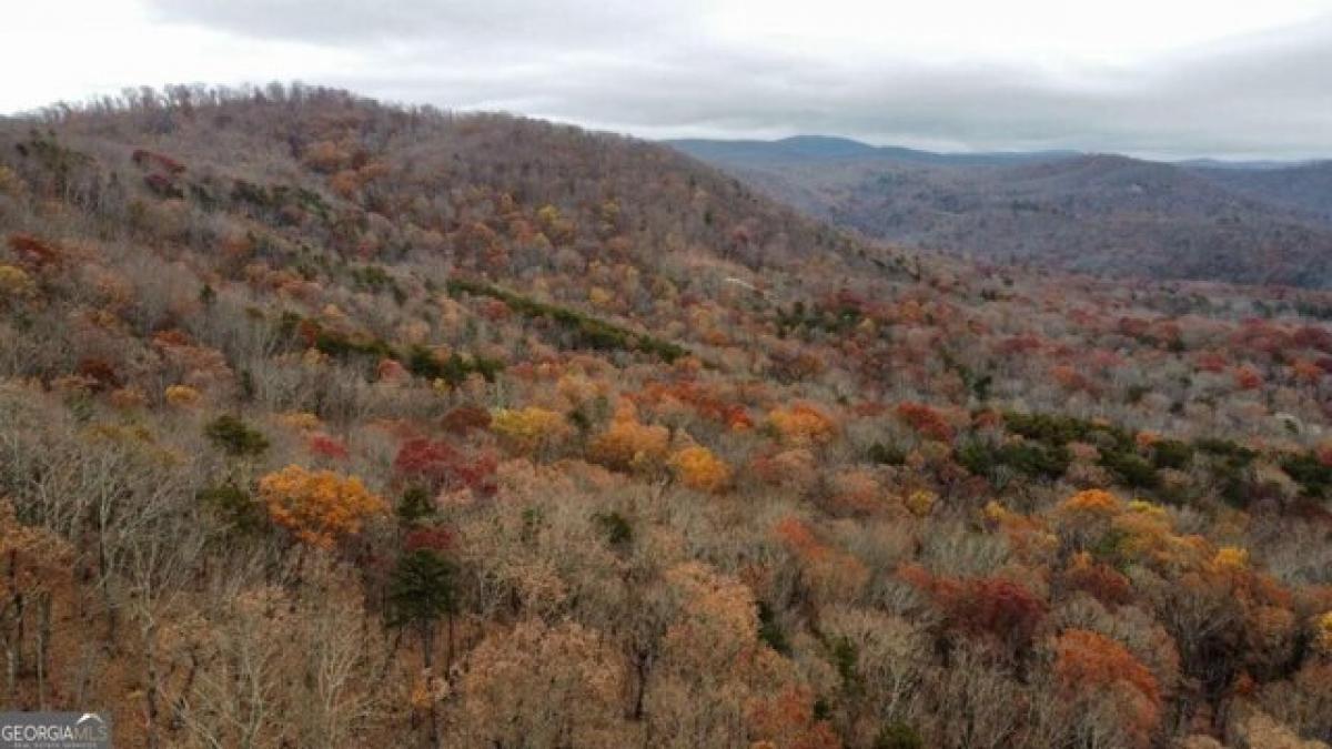 Picture of Residential Land For Sale in Jasper, Georgia, United States