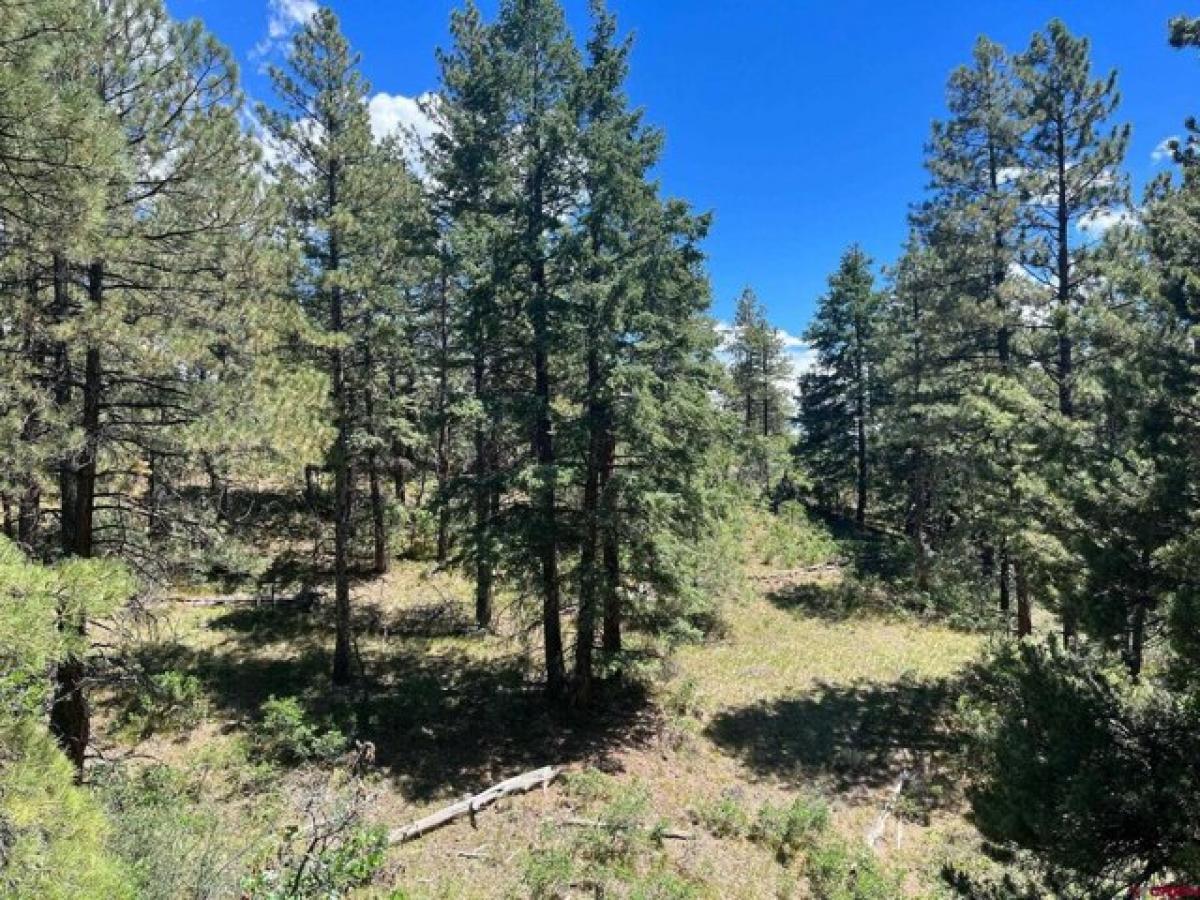 Picture of Residential Land For Sale in Pagosa Springs, Colorado, United States
