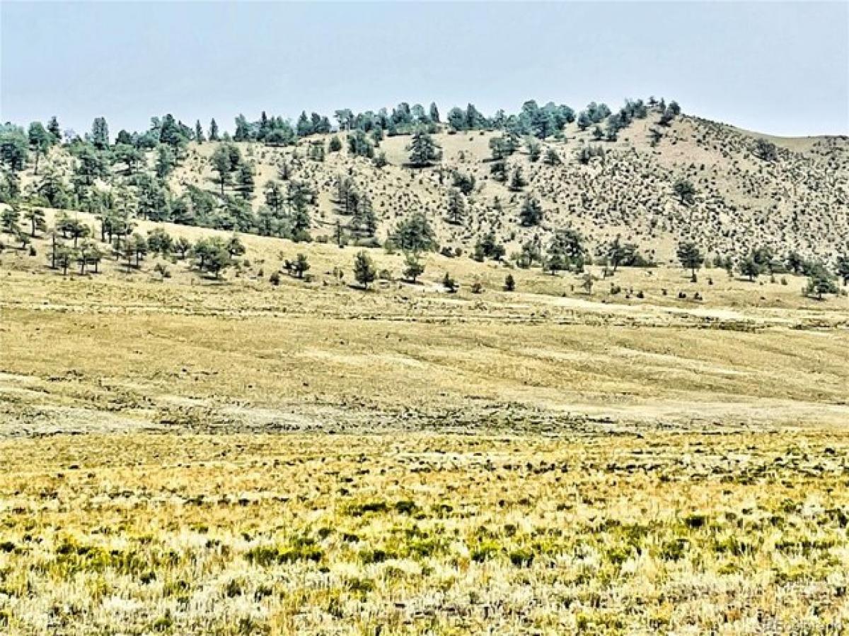 Picture of Residential Land For Sale in Hartsel, Colorado, United States