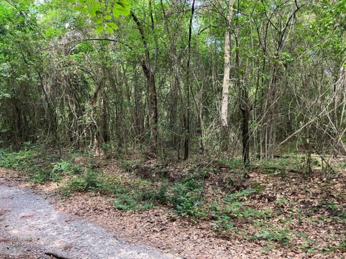 Picture of Residential Land For Sale in Augusta, Georgia, United States