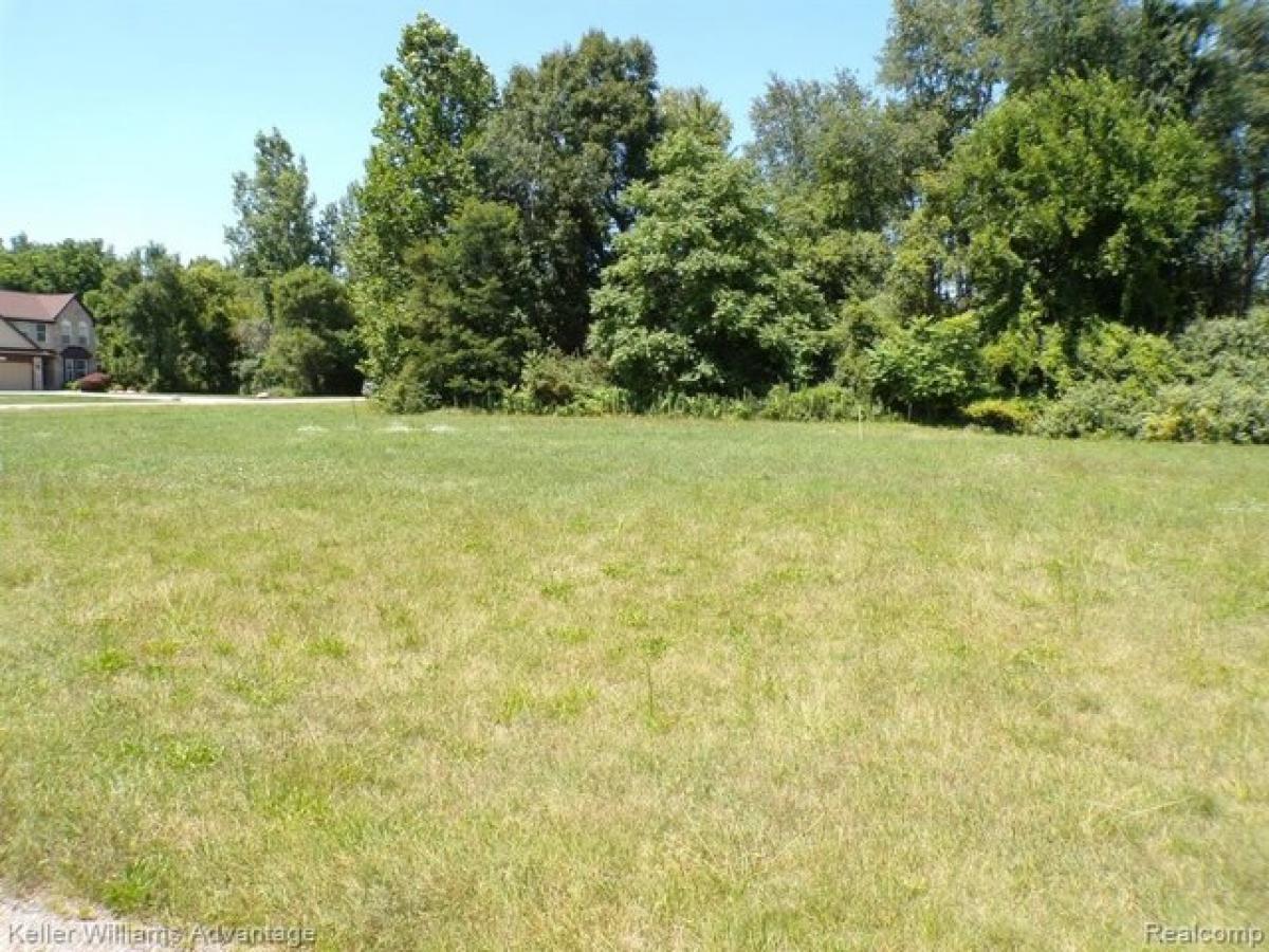 Picture of Residential Land For Sale in Romulus, Michigan, United States