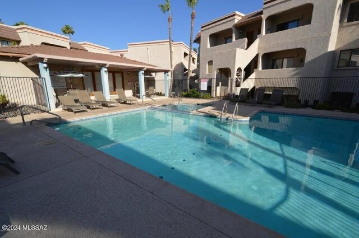 Picture of Home For Rent in Tucson, Arizona, United States
