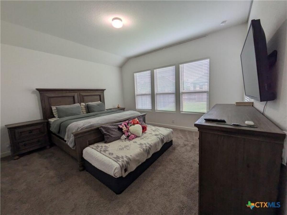 Picture of Home For Rent in New Braunfels, Texas, United States