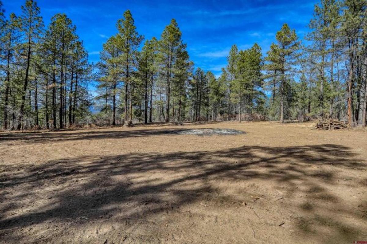 Picture of Residential Land For Sale in Pagosa Springs, Colorado, United States