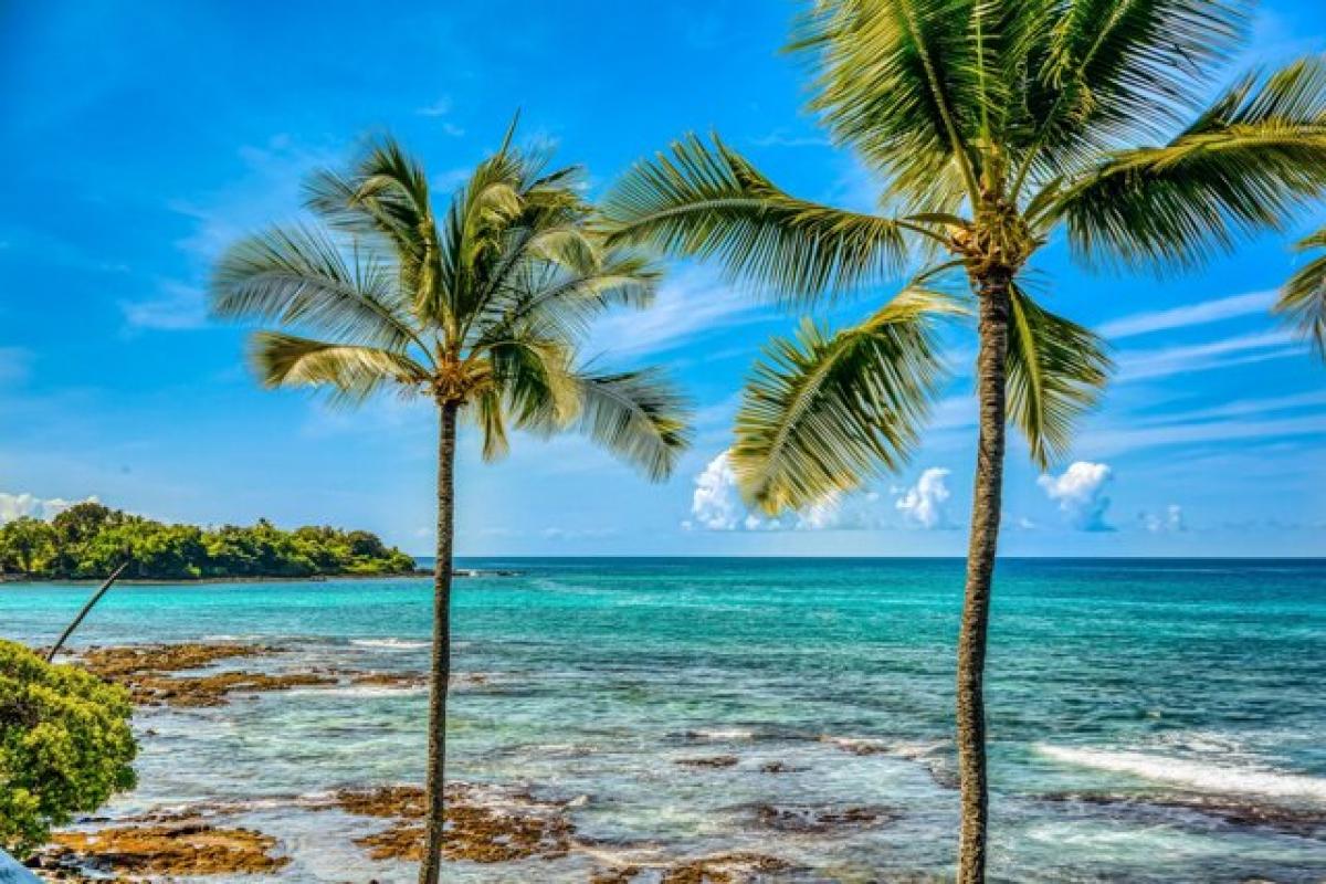 Picture of Home For Sale in Holualoa, Hawaii, United States