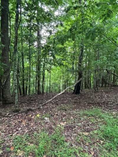 Residential Land For Sale in Murphy, North Carolina