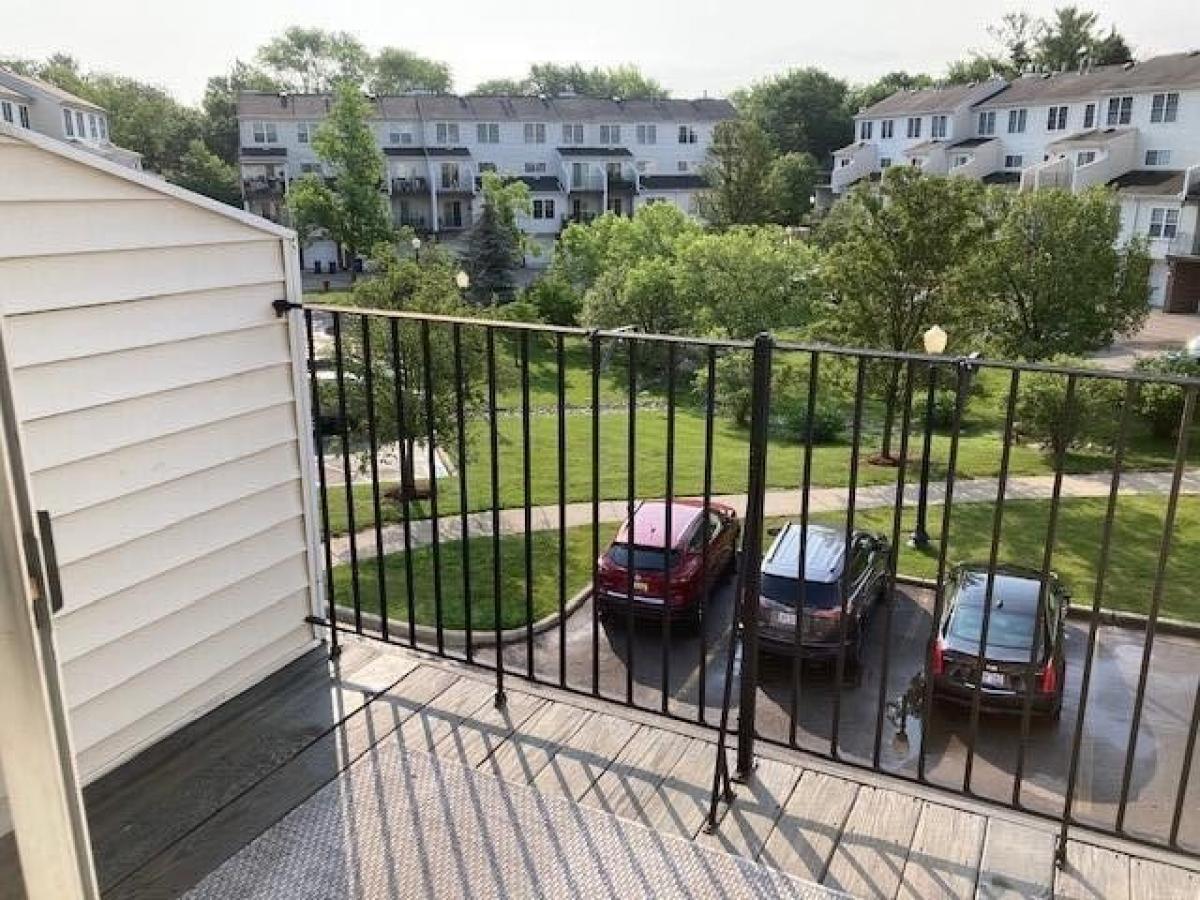 Picture of Home For Rent in Ann Arbor, Michigan, United States