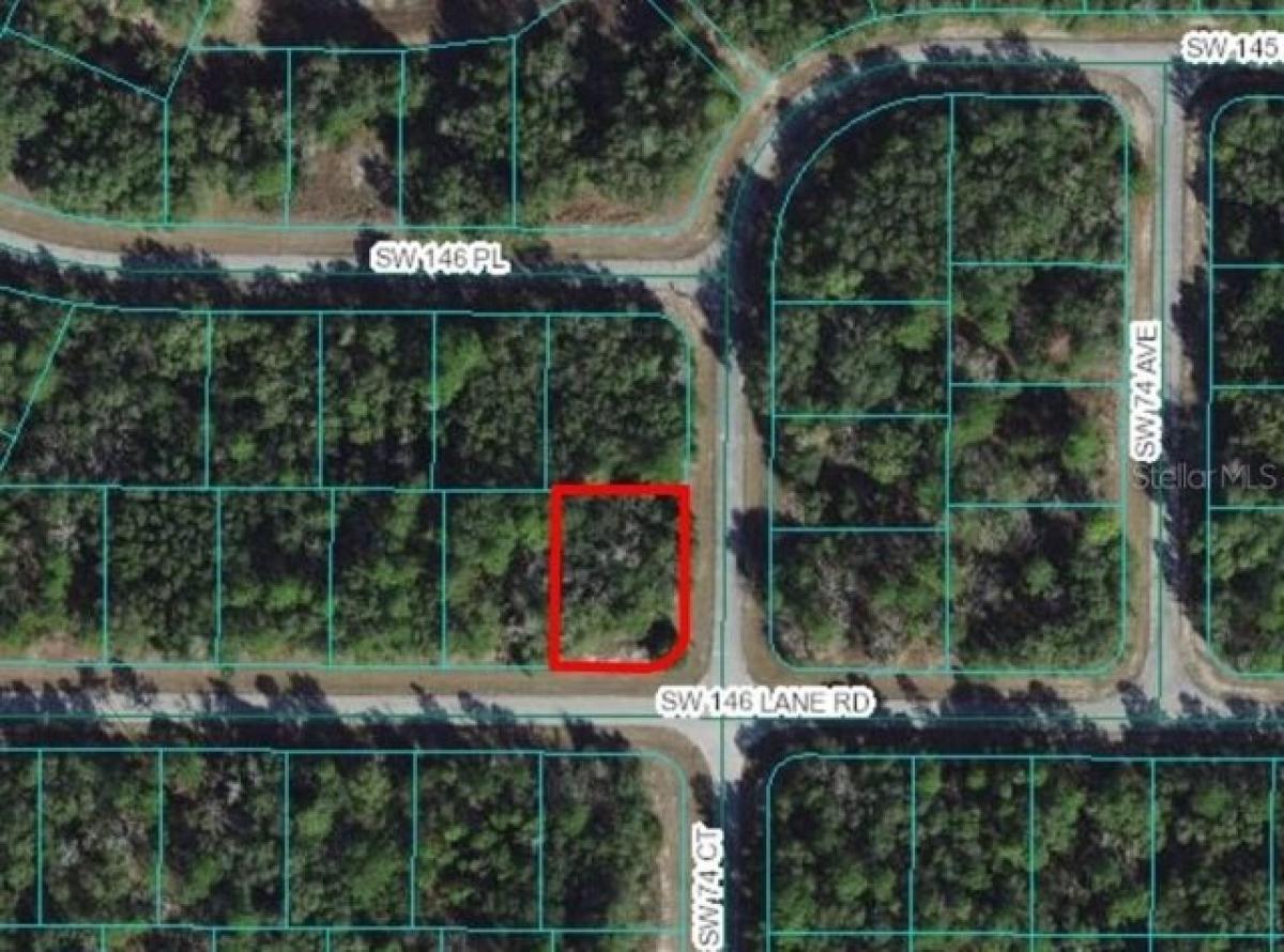 Picture of Residential Land For Sale in Ocala, Florida, United States