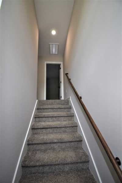 Apartment For Rent in 