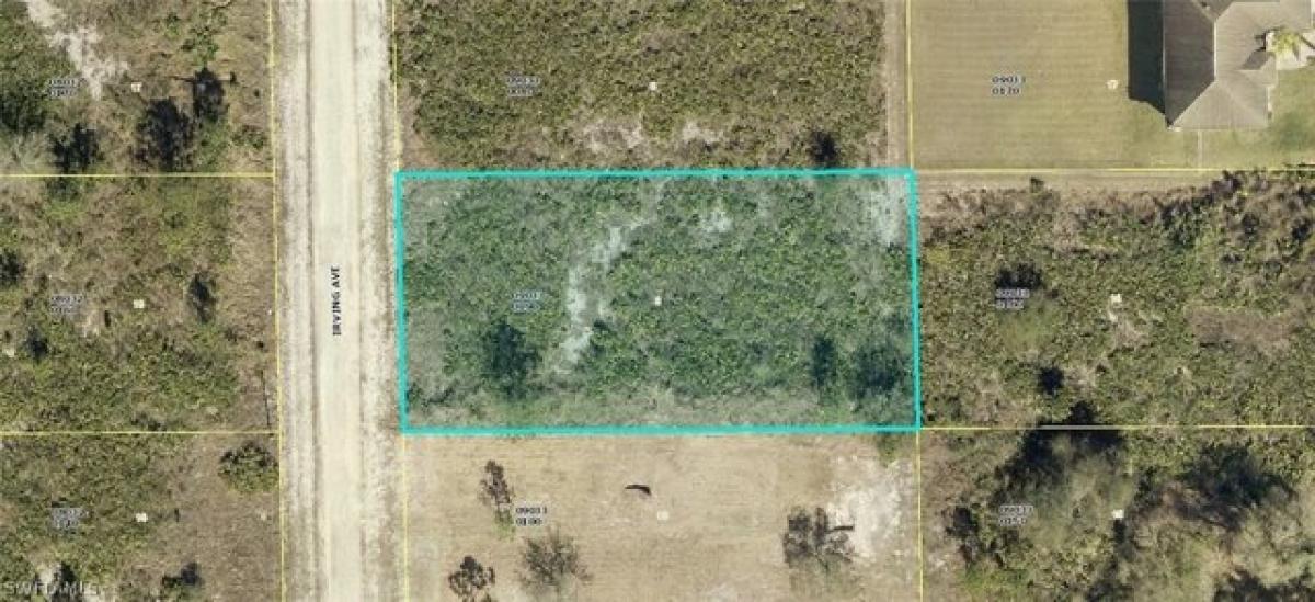 Picture of Residential Land For Sale in Lehigh Acres, Florida, United States