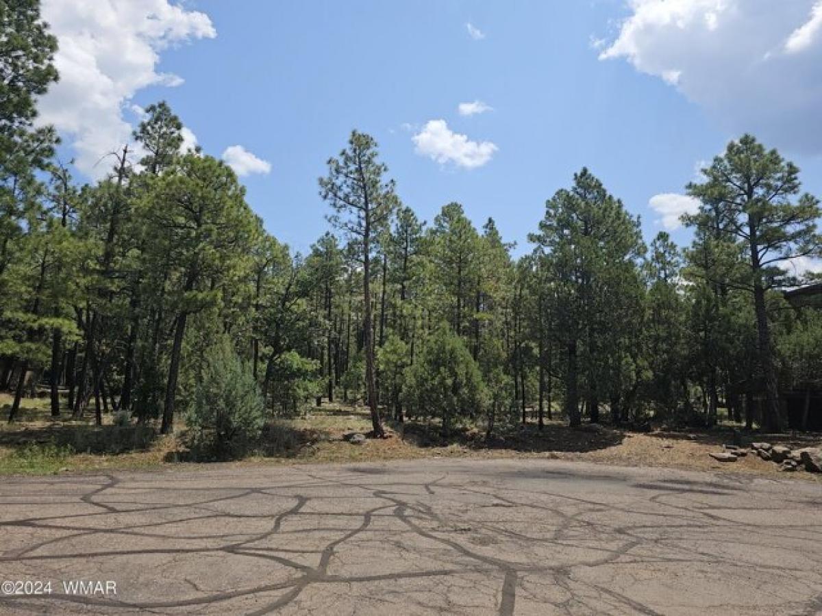 Picture of Residential Land For Sale in Lakeside, Arizona, United States