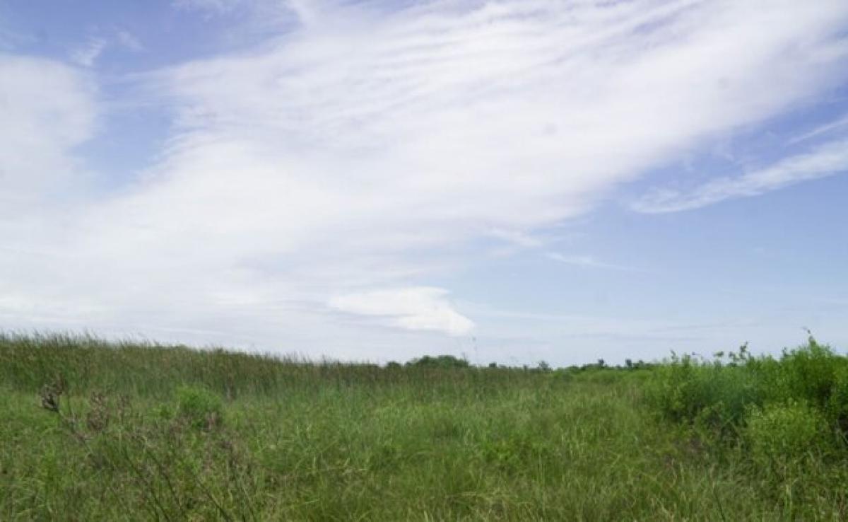 Picture of Residential Land For Sale in Angleton, Texas, United States