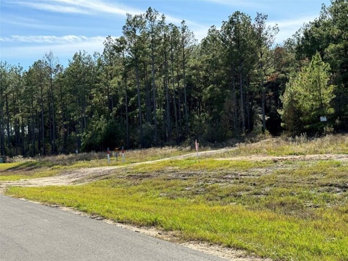 Picture of Residential Land For Sale in Willis, Texas, United States