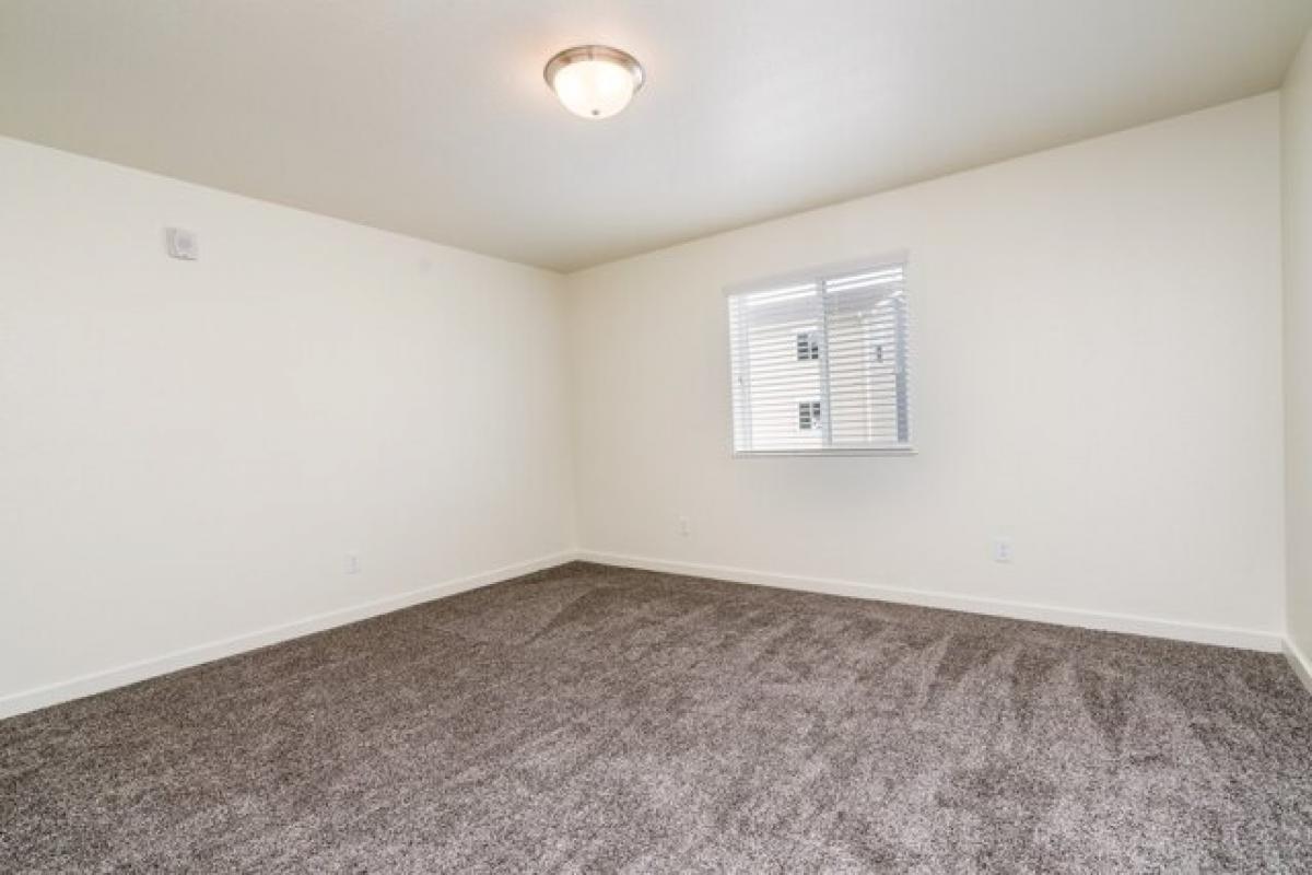 Picture of Home For Rent in Spring, Texas, United States