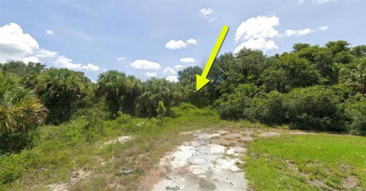 Picture of Residential Land For Sale in North Port, Florida, United States