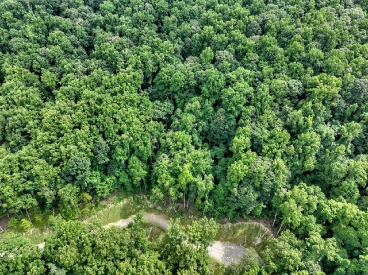 Picture of Residential Land For Sale in Morganton, Georgia, United States