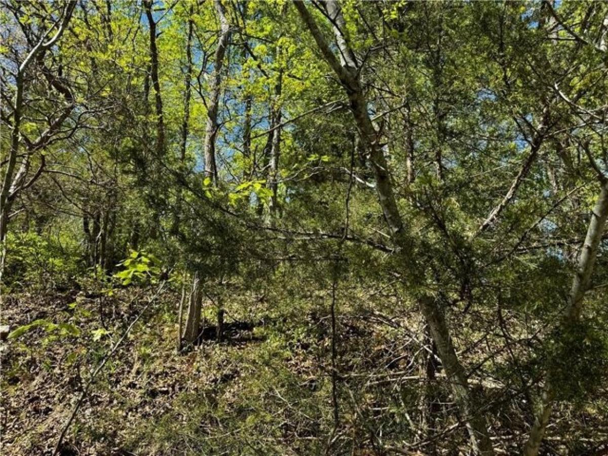 Picture of Residential Land For Sale in Bella Vista, Arkansas, United States