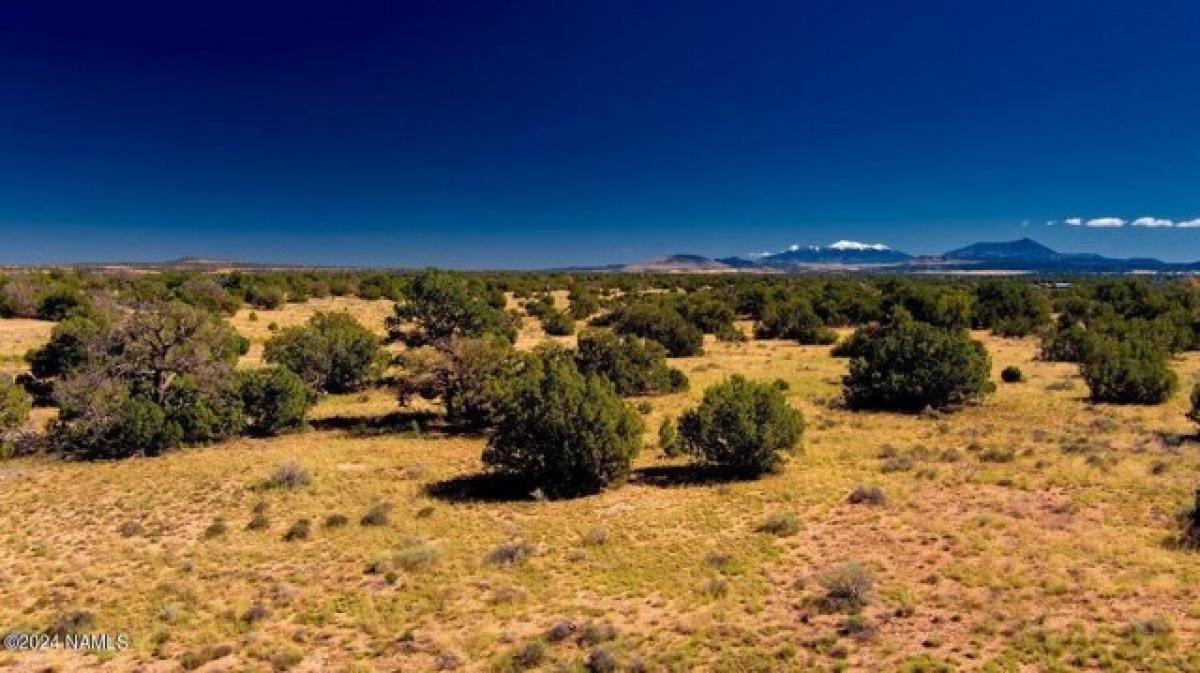 Picture of Residential Land For Sale in Williams, Arizona, United States