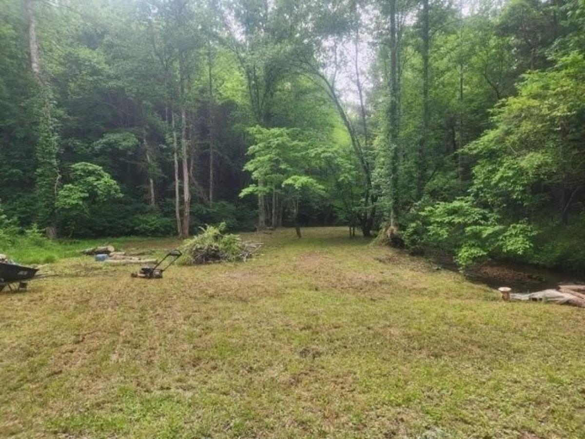 Picture of Home For Sale in Dahlonega, Georgia, United States