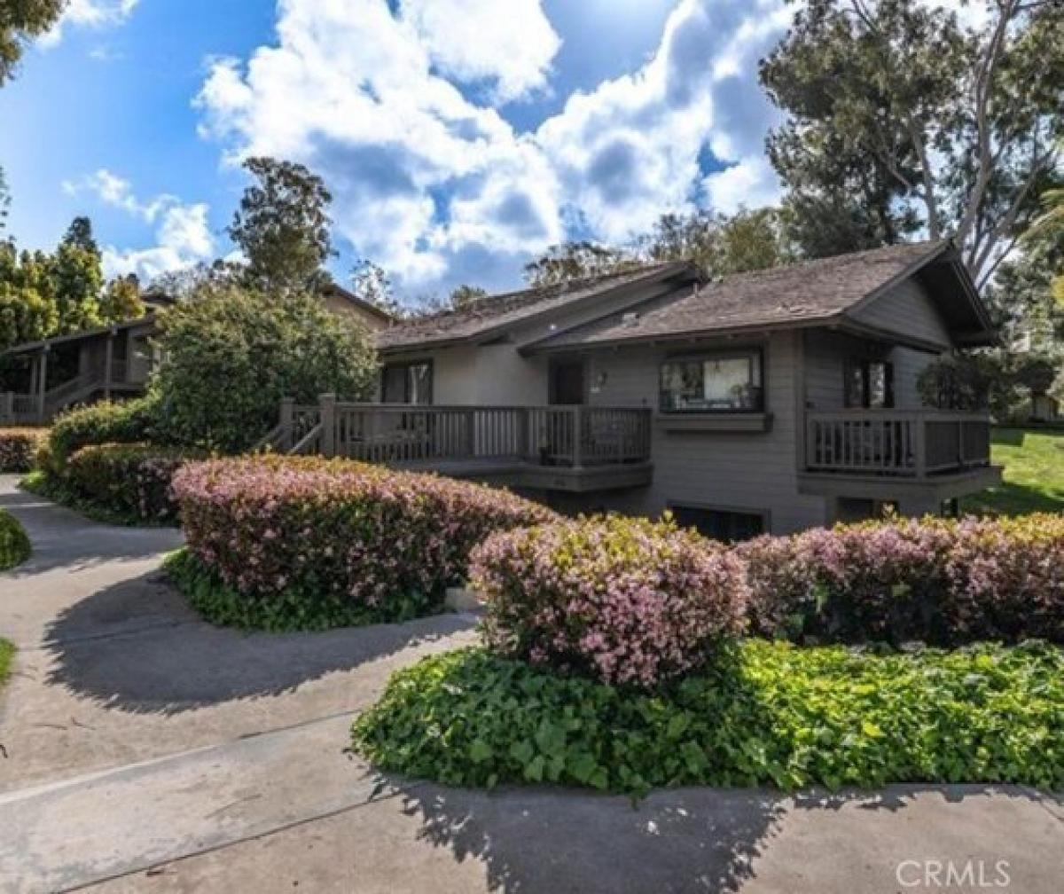 Picture of Home For Rent in Irvine, California, United States