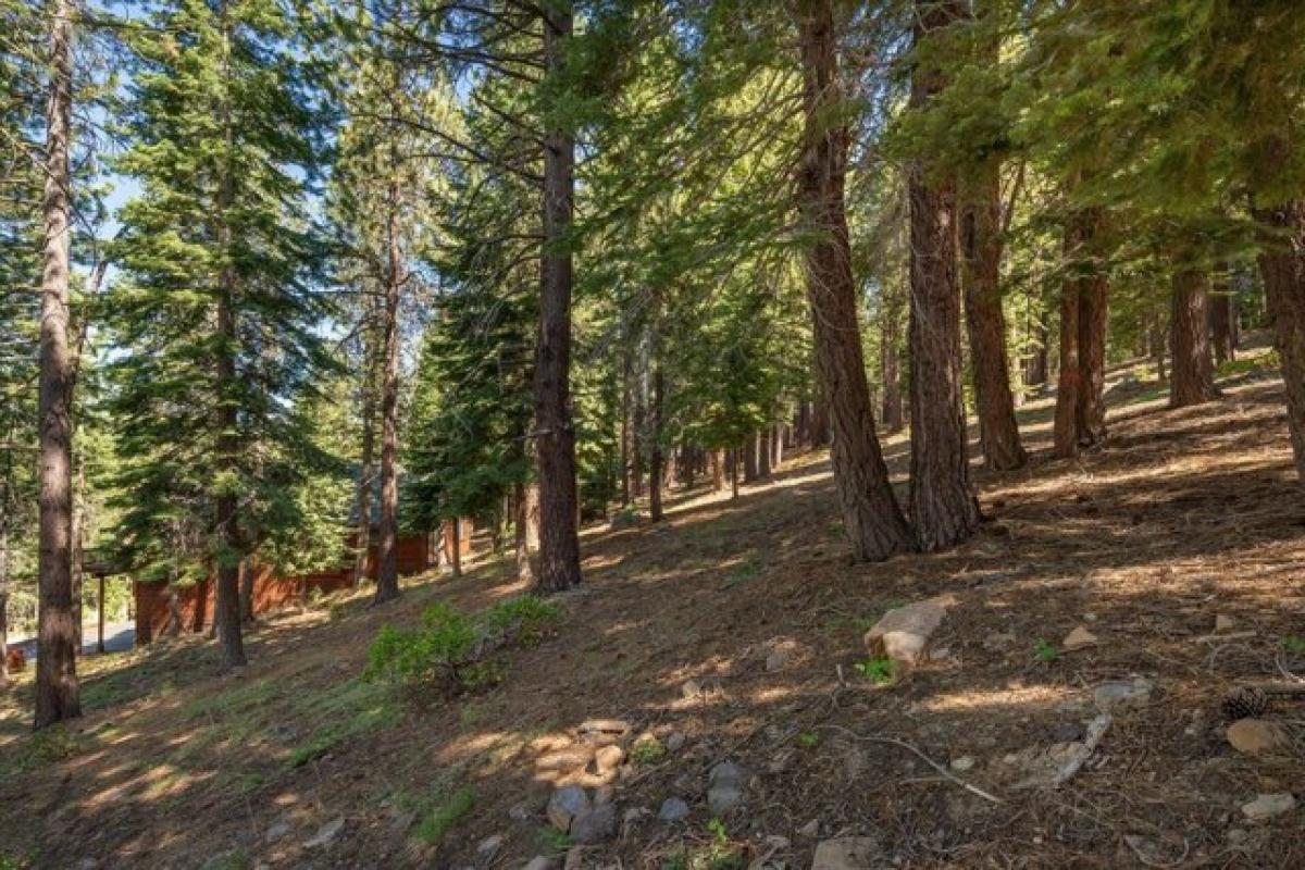 Picture of Residential Land For Sale in Truckee, California, United States
